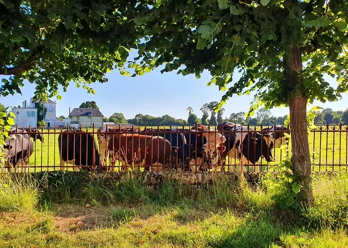 La Venelle Saint Jean *